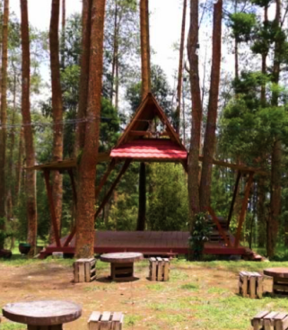 Hutan Pinus Sigrowong